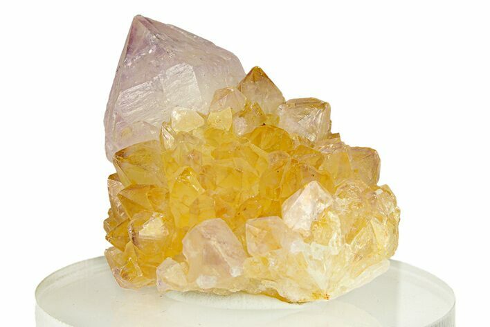 Sparkling Cactus Amethyst Crystal Cluster - South Africa #290228